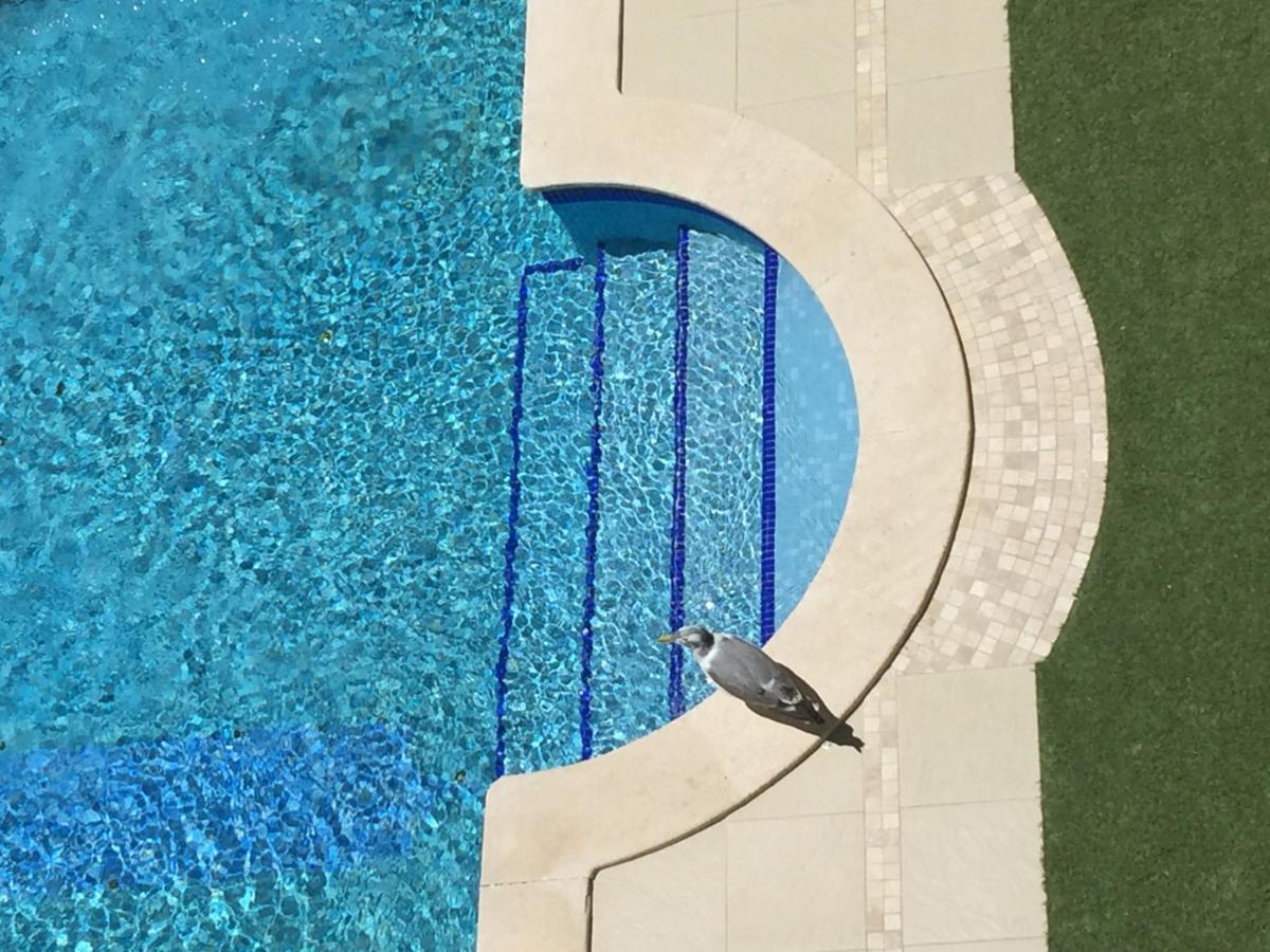 3 Min Walking To Peneco Beach Albufeira At Sol A Sul Apartments Exterior photo